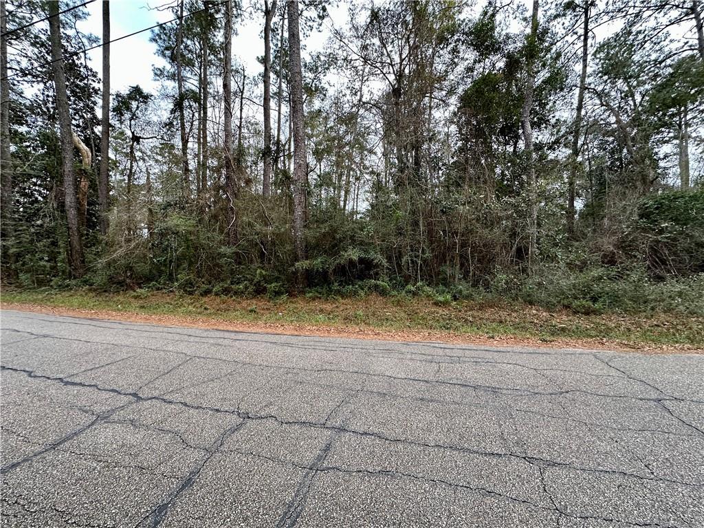 Lot 10 Cloverland Drive, Lacombe, Louisiana image 1