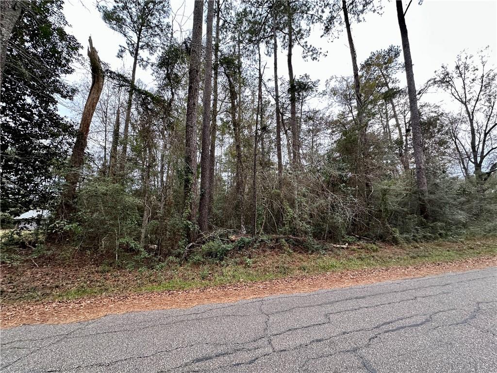 Lot 10 Cloverland Drive, Lacombe, Louisiana image 2