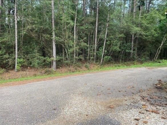 Henderson Road, Covington, Louisiana image 2