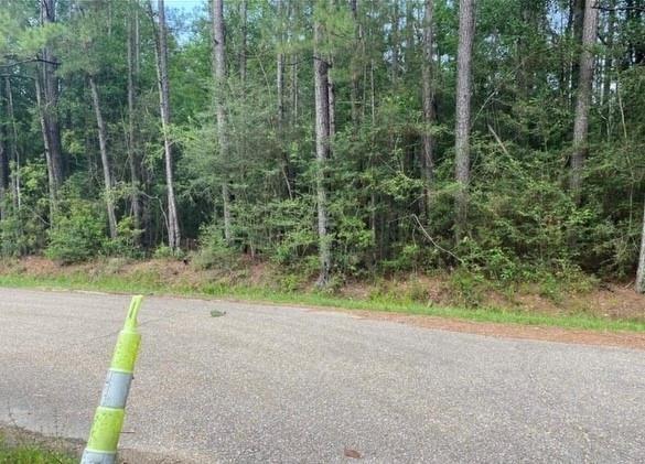 Henderson Road, Covington, Louisiana image 5