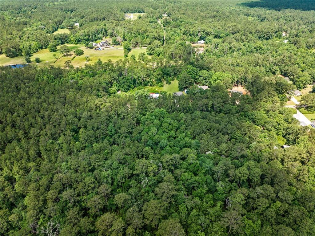 Henderson Road, Covington, Louisiana image 10