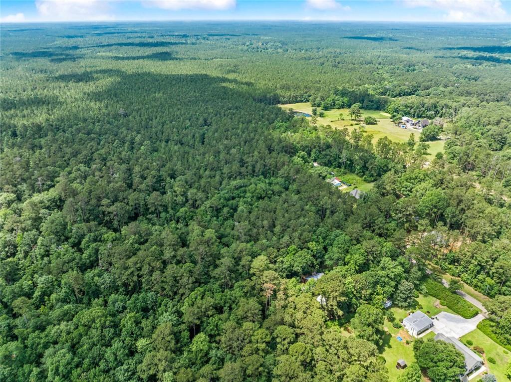Henderson Road, Covington, Louisiana image 12