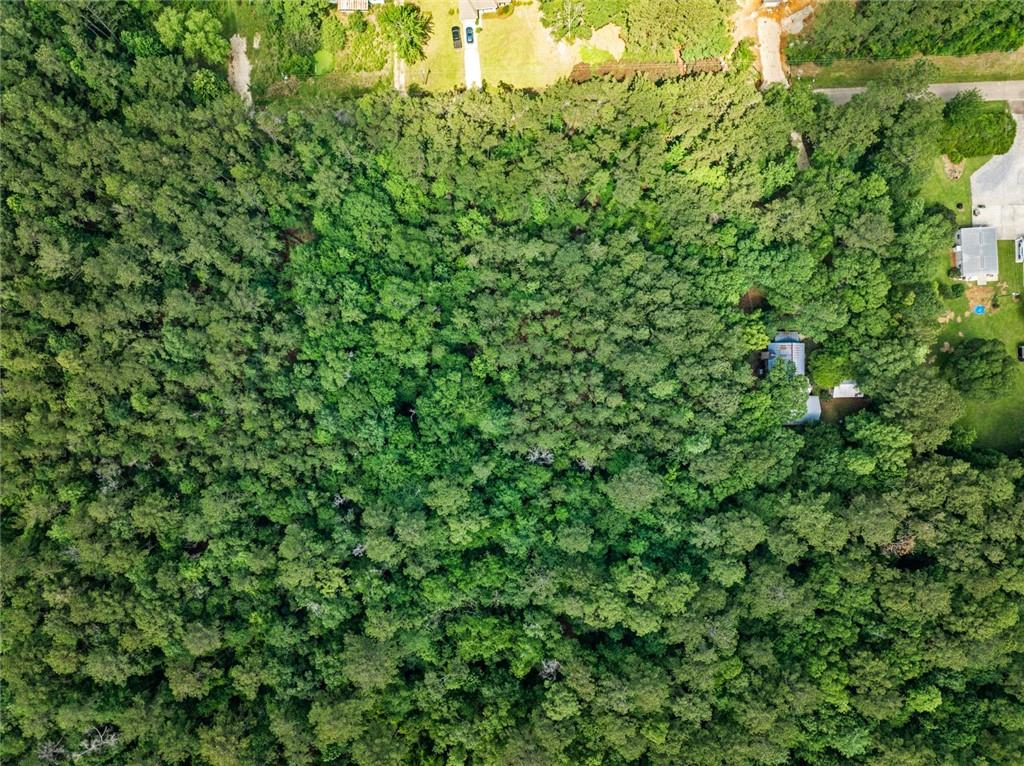 Henderson Road, Covington, Louisiana image 13