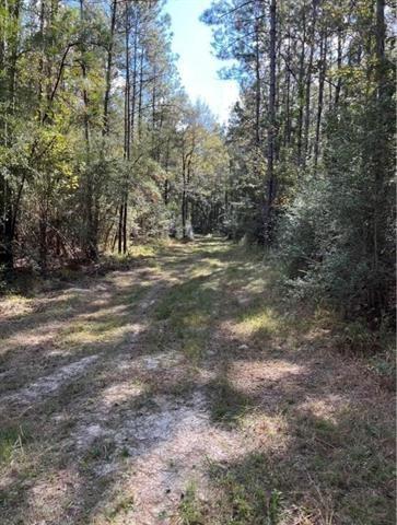 Henderson Road, Covington, Louisiana image 2