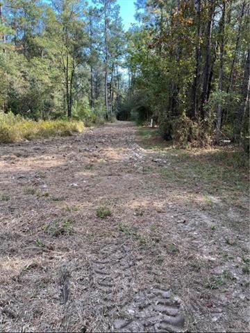 Henderson Road, Covington, Louisiana image 3