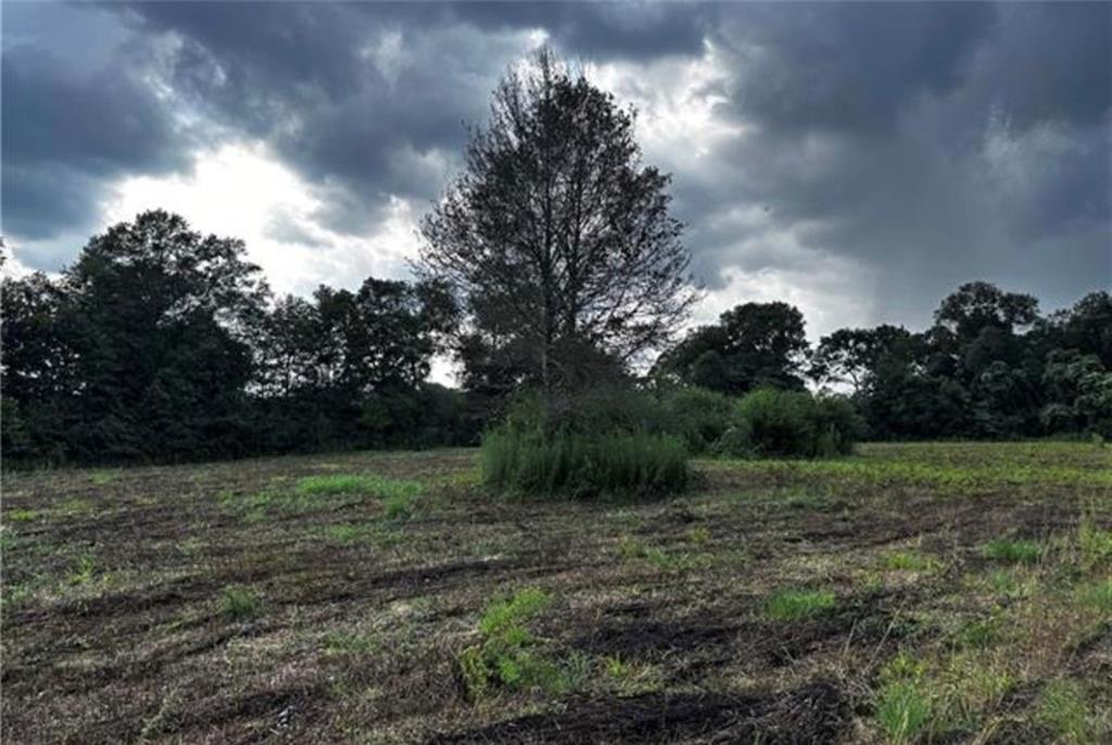 C. Corkern Road, Franklinton, Louisiana image 4