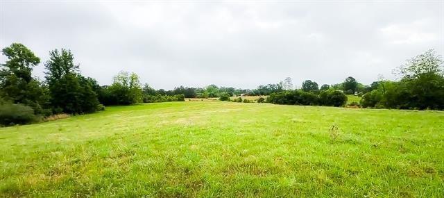 John Jones Road, Franklinton, Louisiana image 1