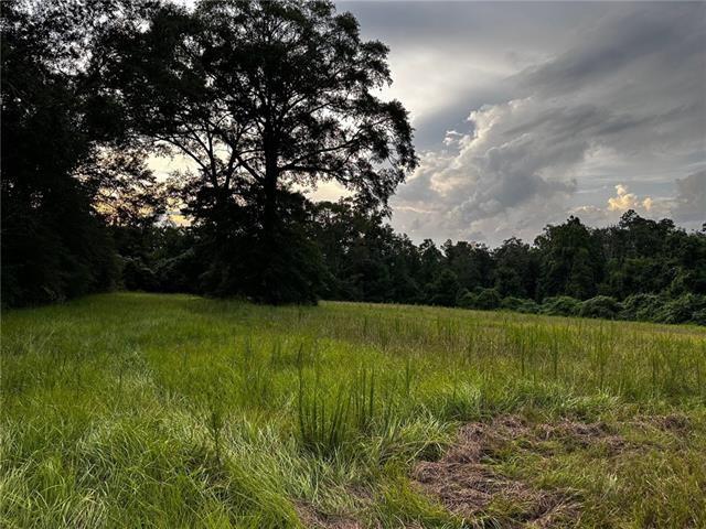 John Jones Road, Franklinton, Louisiana image 4