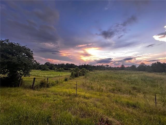 John Jones Road, Franklinton, Louisiana image 5