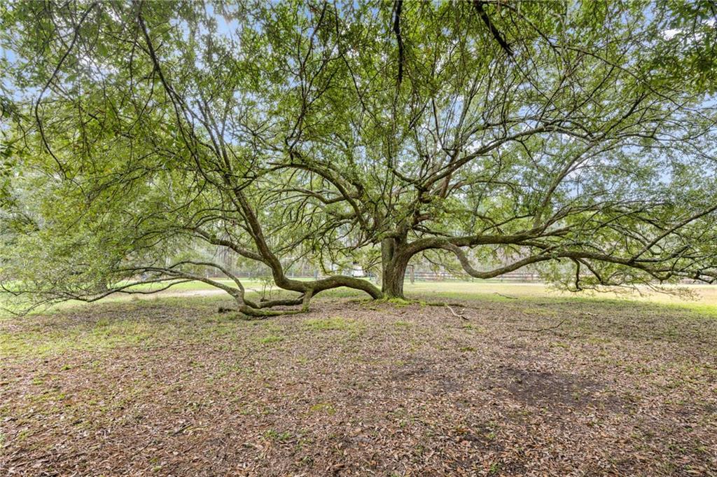 12119 Acey Allen Road, Independence, Louisiana image 18