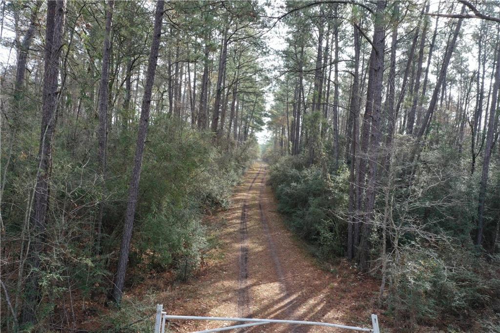 Hwy 441 Highway, Holden, Louisiana image 2