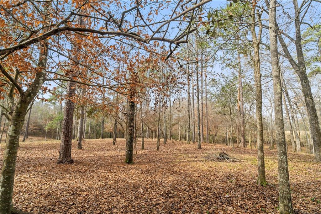 63279 Lowery Road, Amite, Louisiana image 9