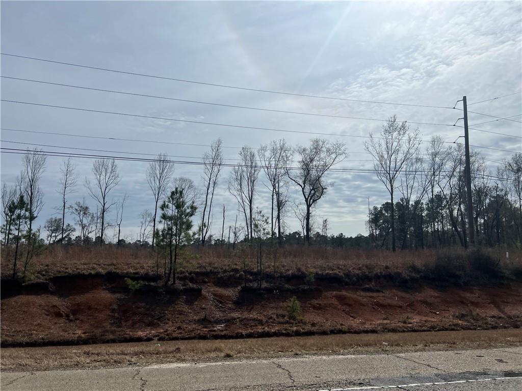 16 Highway, Amite, Louisiana image 1