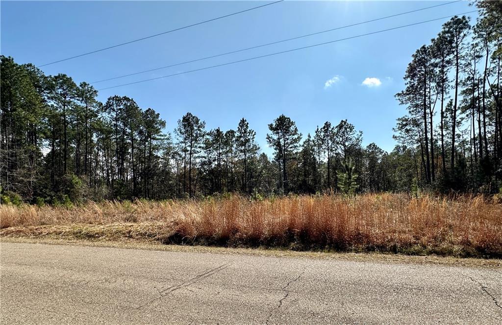 Lot 56A Quimet Drive, Abita Springs, Louisiana image 1