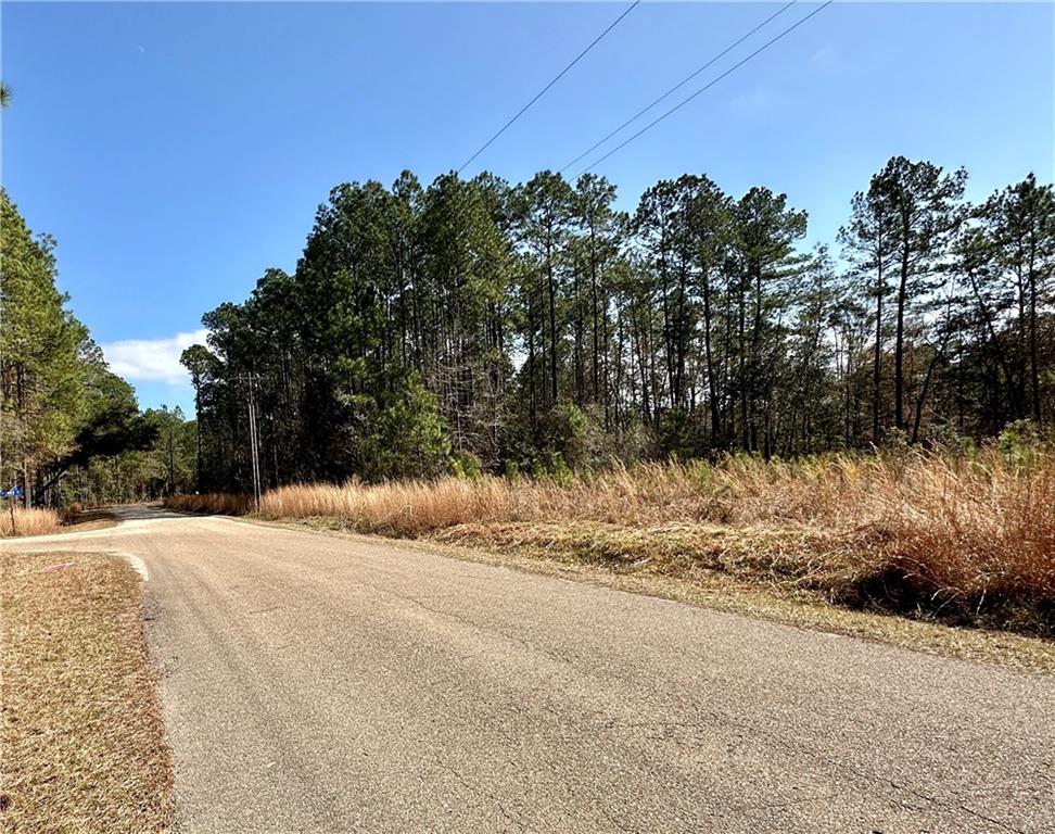 Lot 56A Quimet Drive, Abita Springs, Louisiana image 2