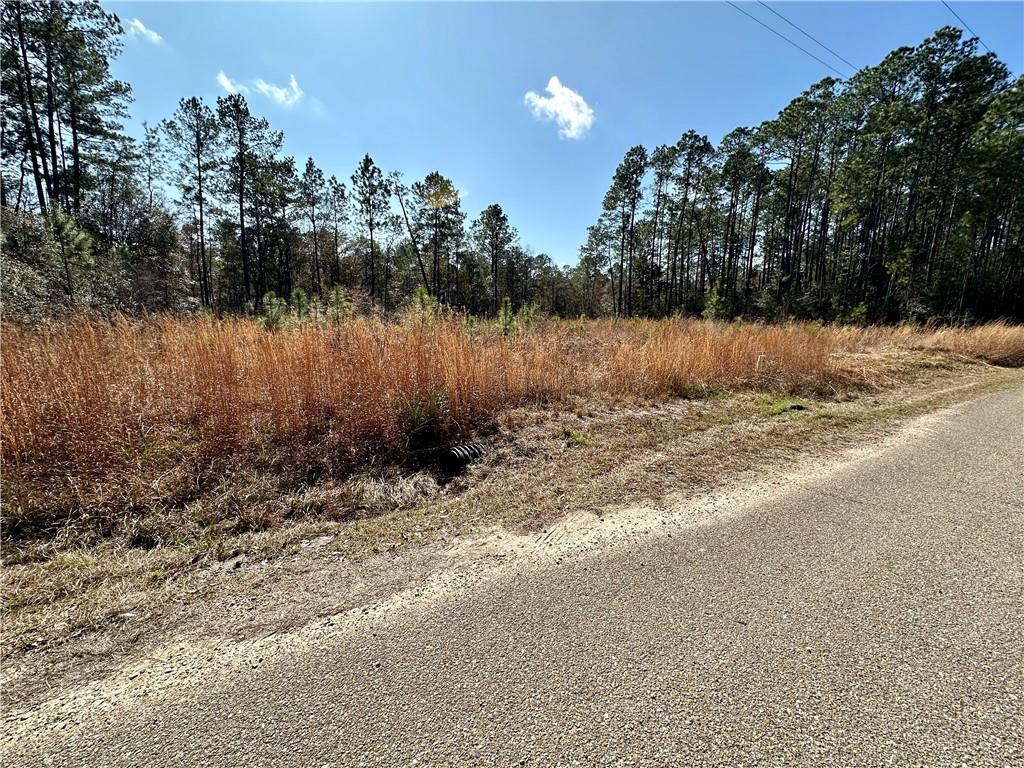 Lot 56A Quimet Drive, Abita Springs, Louisiana image 3