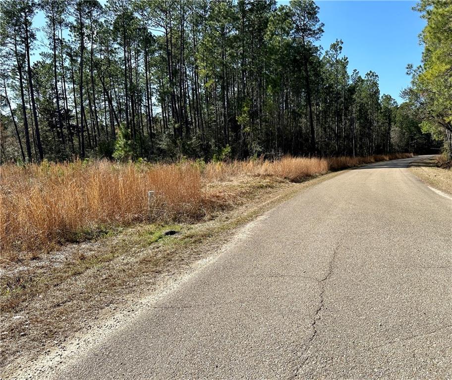 Lot 56A Quimet Drive, Abita Springs, Louisiana image 4