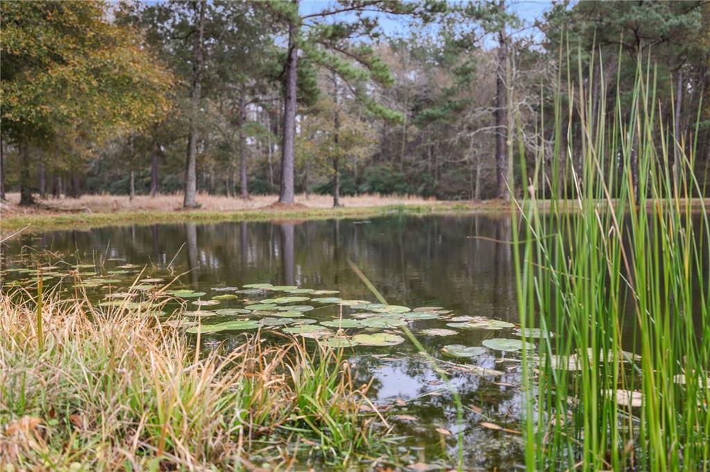 TBD Morris Road, Hammond, Louisiana image 18