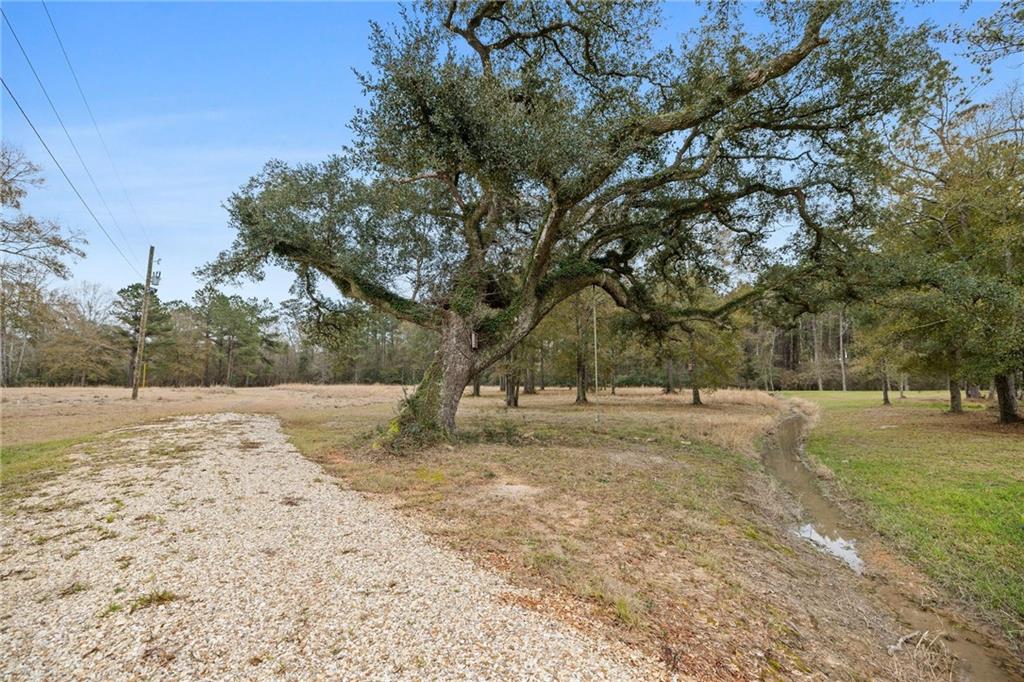 TBD Morris Road, Hammond, Louisiana image 10