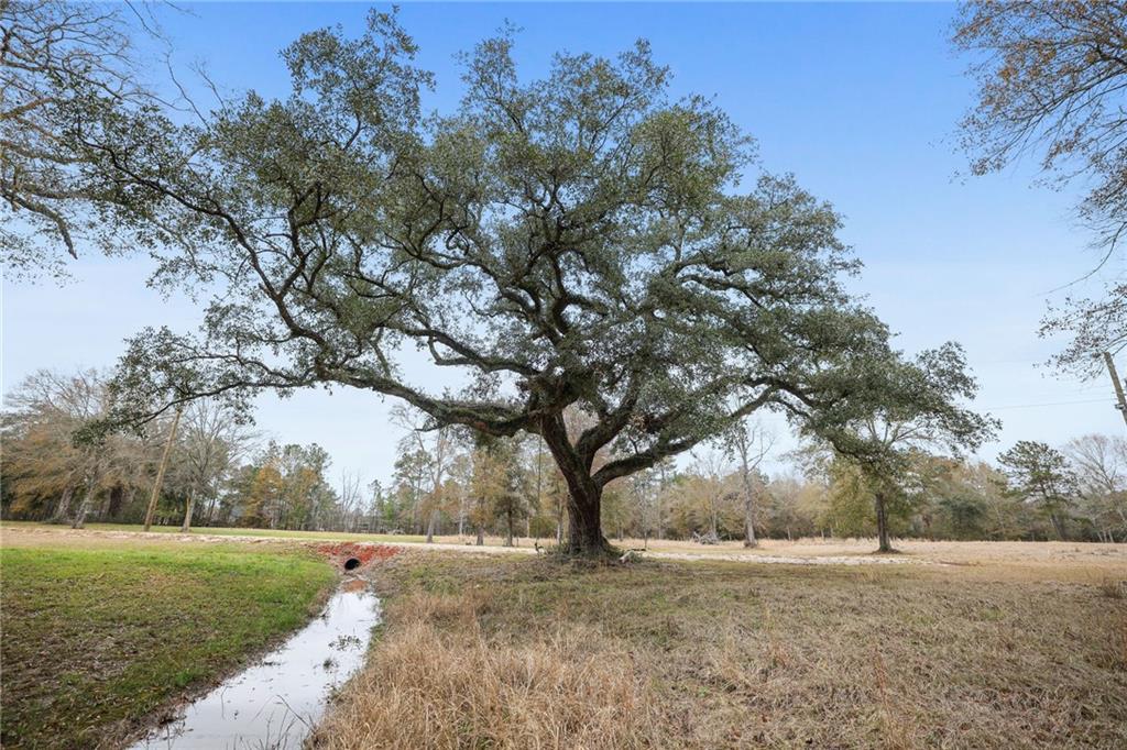 TBD Morris Road, Hammond, Louisiana image 15