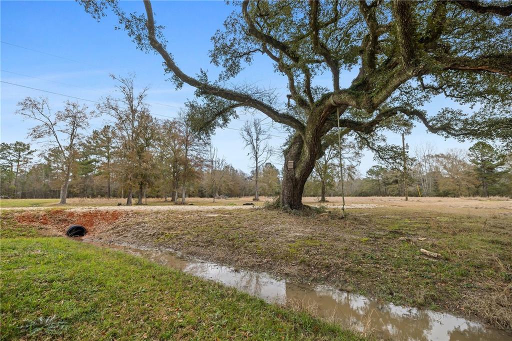 TBD Morris Road, Hammond, Louisiana image 9