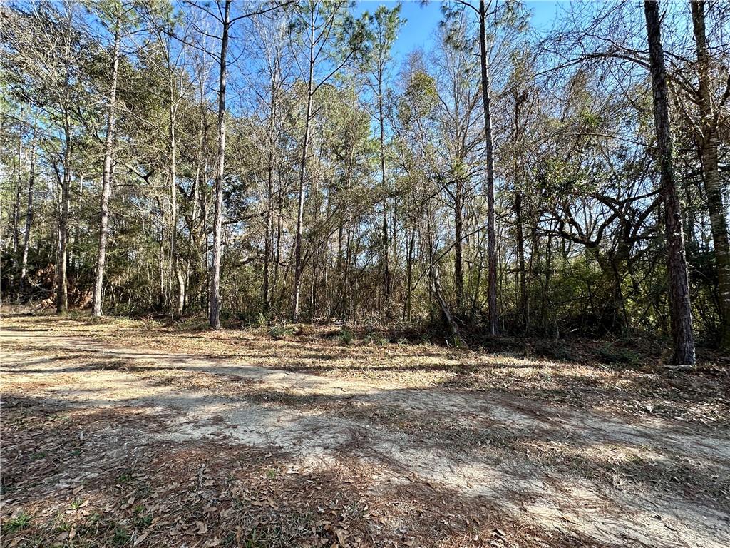 Lot 20 Snead Drive, Abita Springs, Louisiana image 1