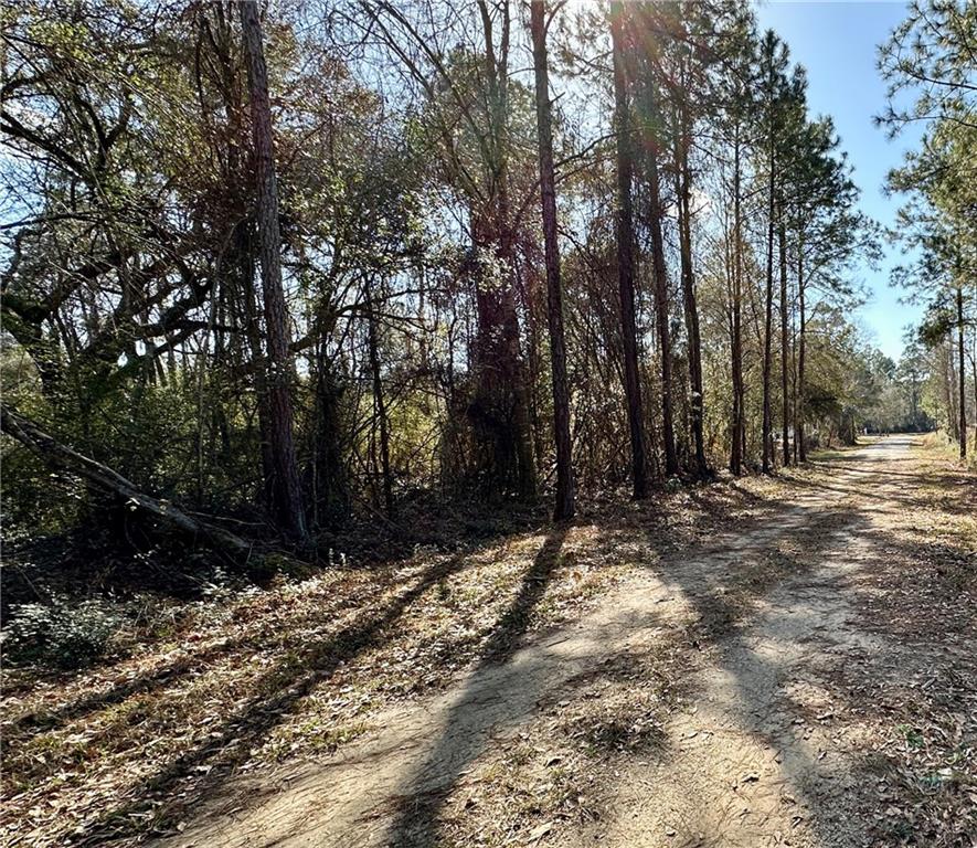 Lot 20 Snead Drive, Abita Springs, Louisiana image 2