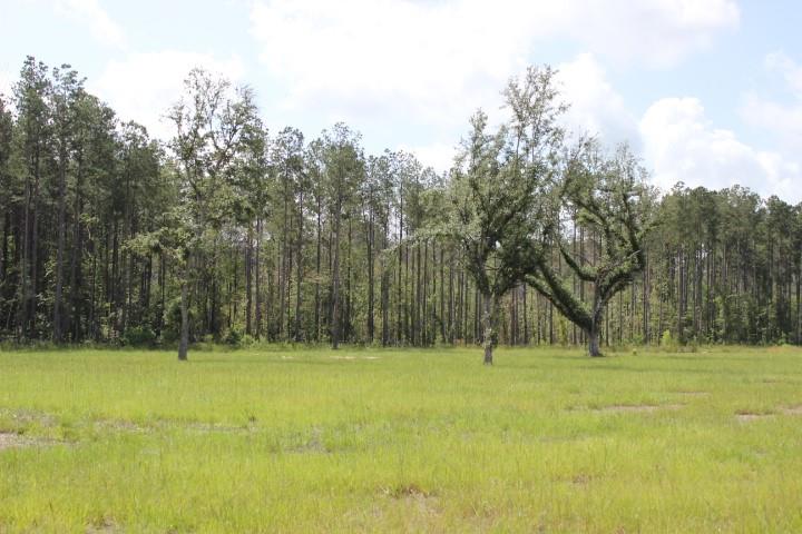 24755 B-2 442 Highway, Independence, Louisiana image 1