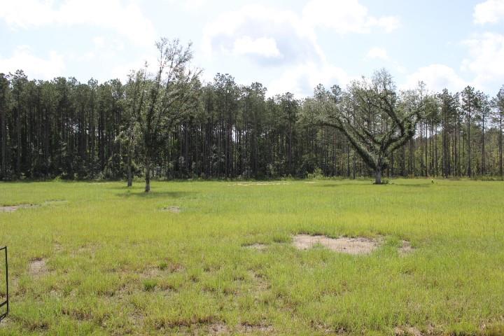 24755 B-2 442 Highway, Independence, Louisiana image 2