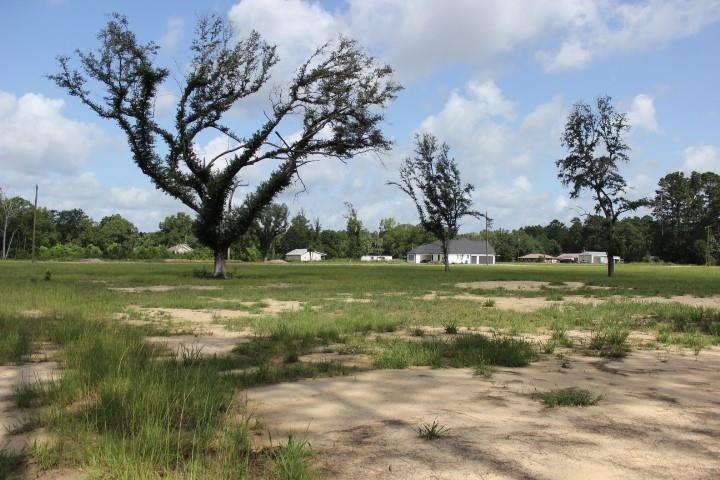 24755 B-2 442 Highway, Independence, Louisiana image 3
