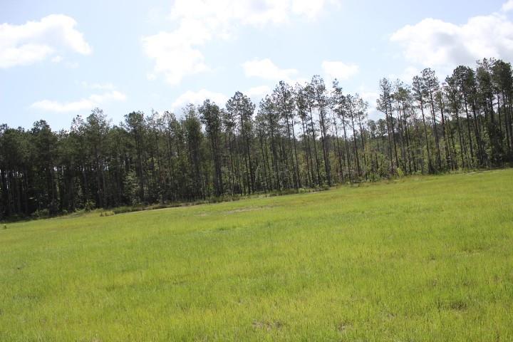 24755 B-3 442 Highway, Independence, Louisiana image 1