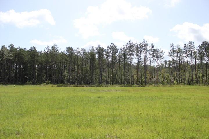24755 B-3 442 Highway, Independence, Louisiana image 2