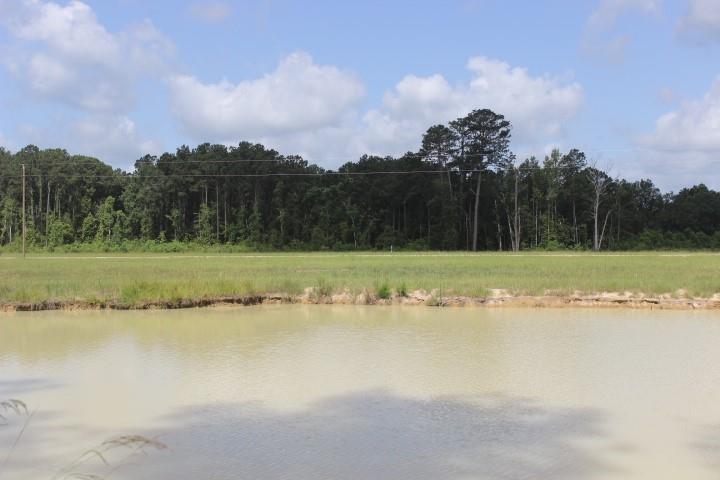 24755 B-3 442 Highway, Independence, Louisiana image 4