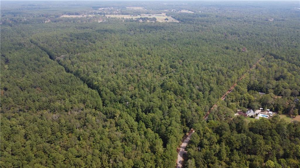 102 Acres Bruhl Road, Folsom, Louisiana image 3