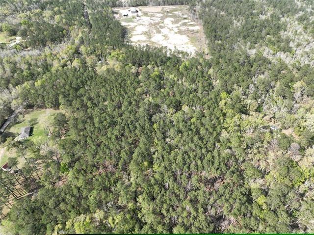 10 Acres Vacant Land Raiford Road, Ponchatoula, Louisiana image 1