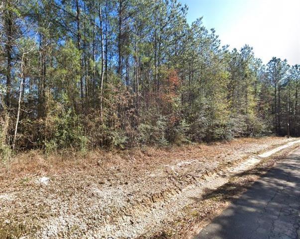 10 Acres Vacant Land Raiford Road, Ponchatoula, Louisiana image 5