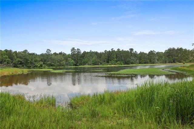 Ogden Lane, Amite, Louisiana image 13