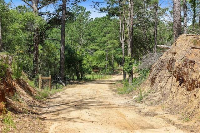 Ogden Lane, Amite, Louisiana image 6