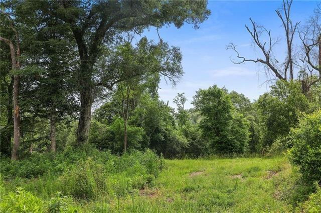 Ogden Lane, Amite, Louisiana image 9