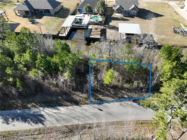 LOT 53 Swamp Drive, Springfield, Louisiana image 4