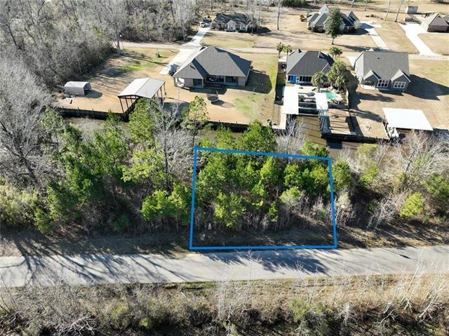 LOT 54 Swamp Drive, Springfield, Louisiana image 4