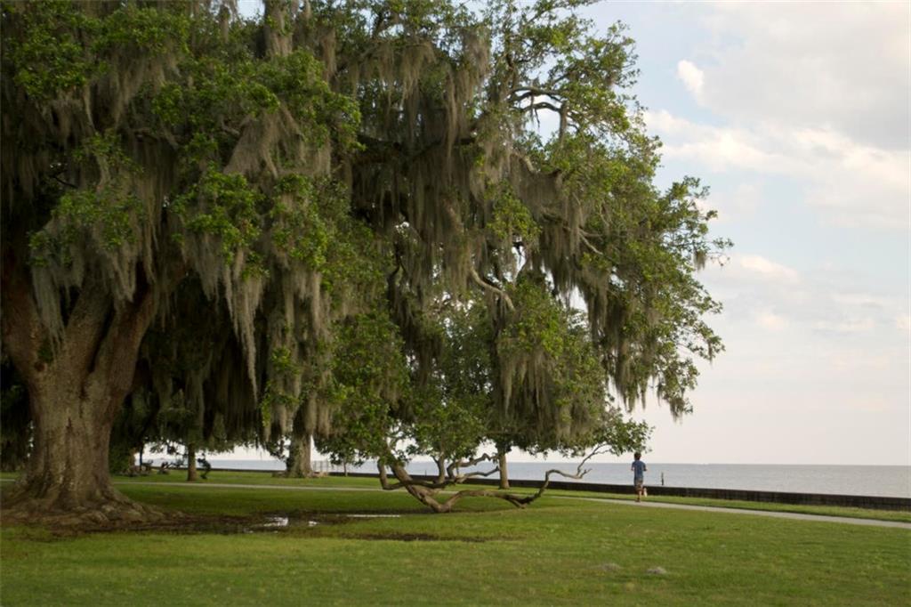 1536 Madison Street, Mandeville, Louisiana image 7