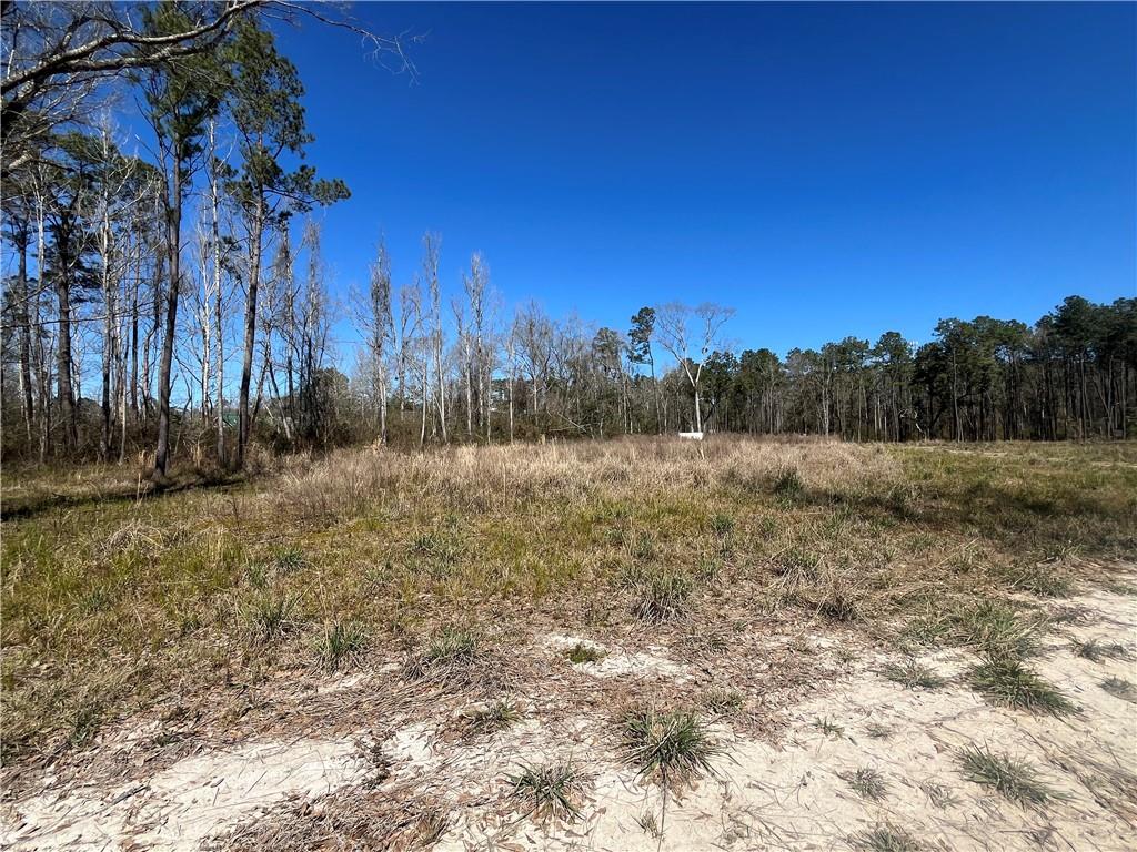 42632 N Thibodeaux Road, Ponchatoula, Louisiana image 12