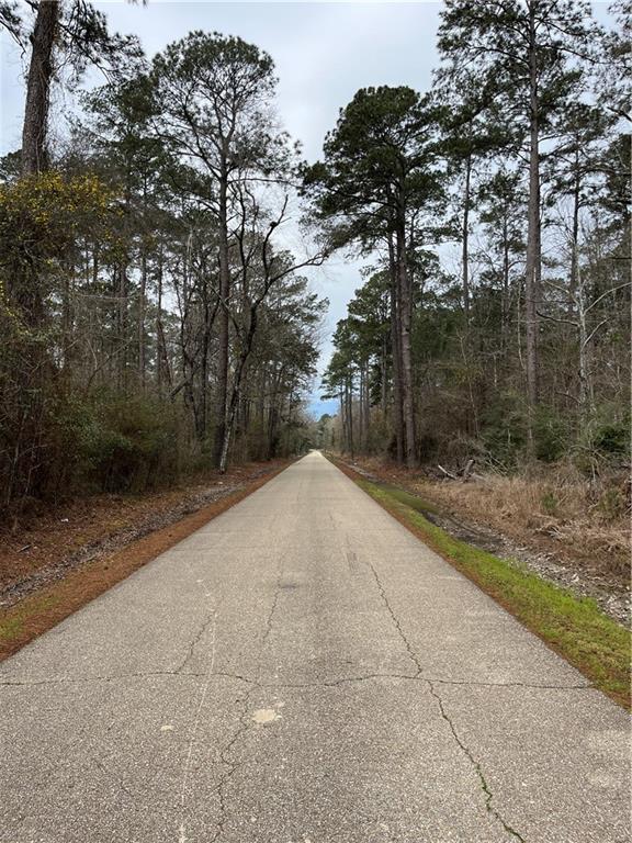 Horseshoe North And Hwy 40 Road, Independence, Louisiana image 12