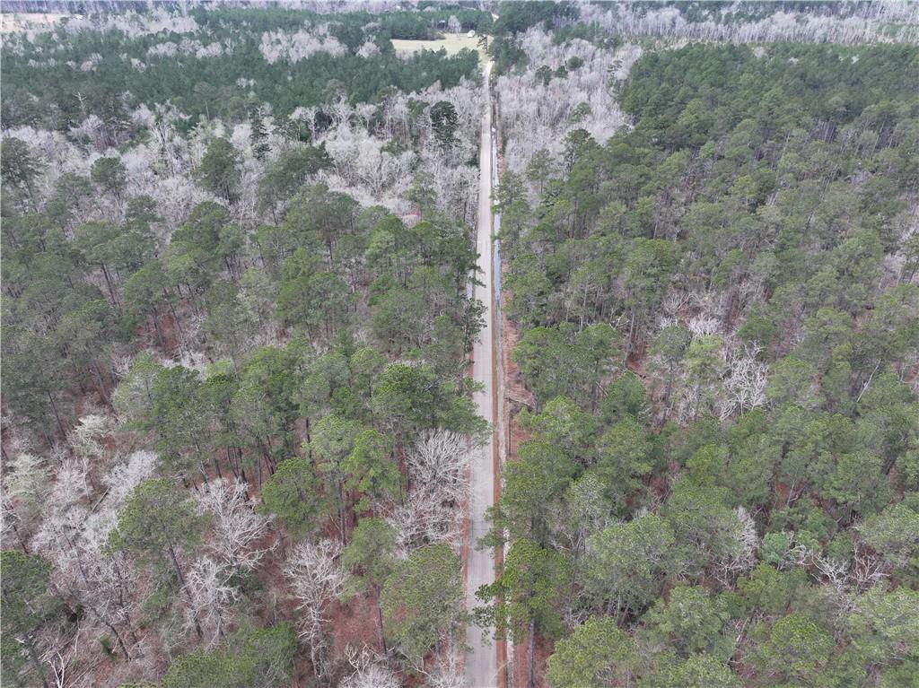 Horseshoe North And Hwy 40 Road, Independence, Louisiana image 13