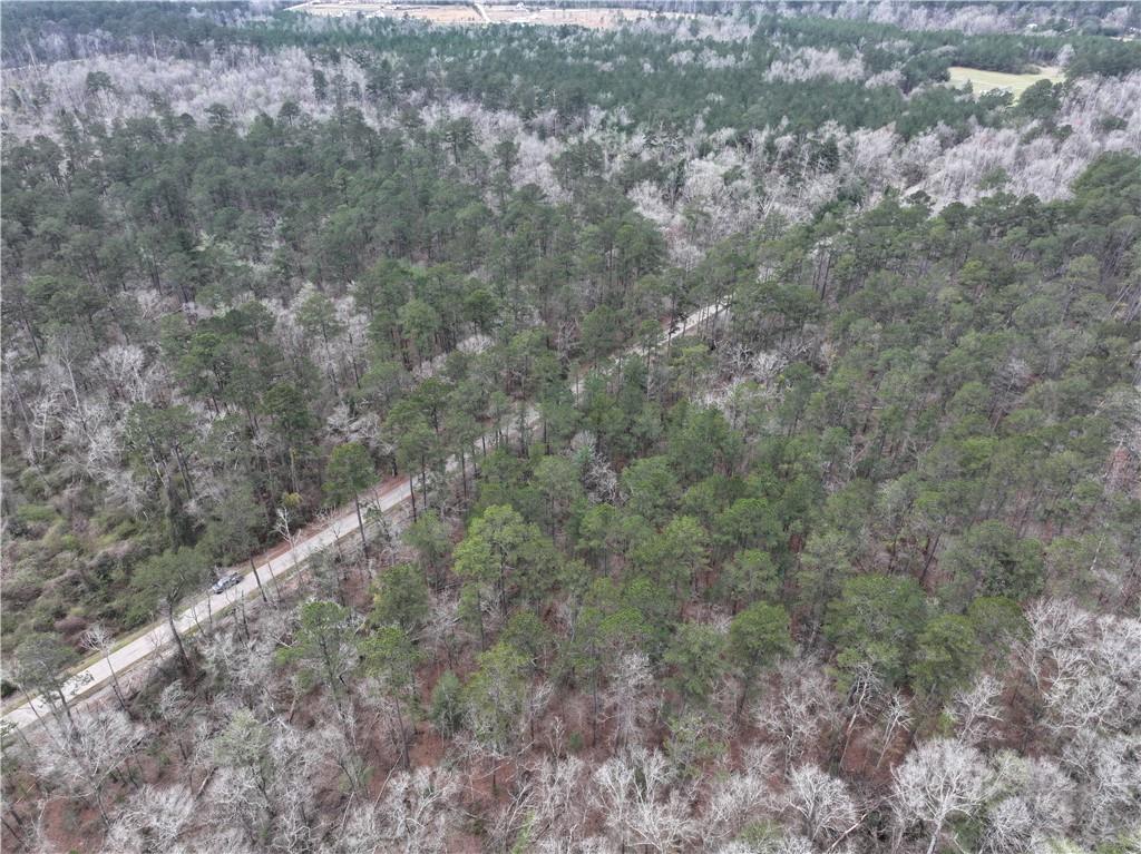 Horseshoe North And Hwy 40 Road, Independence, Louisiana image 23