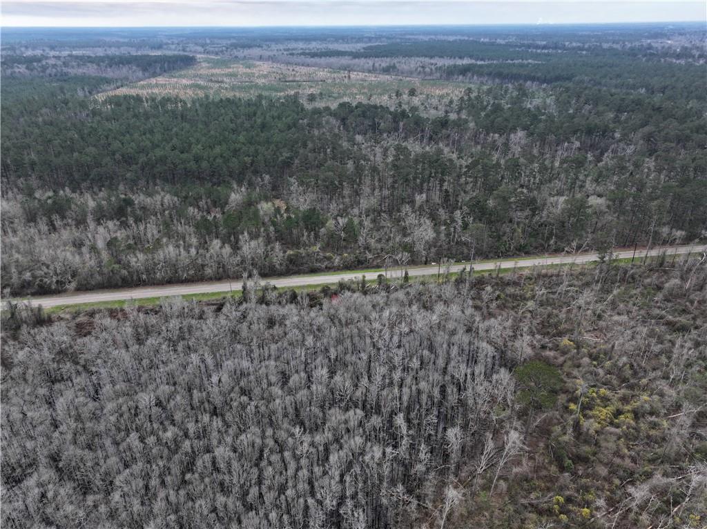 Horseshoe North And Hwy 40 Road, Independence, Louisiana image 26