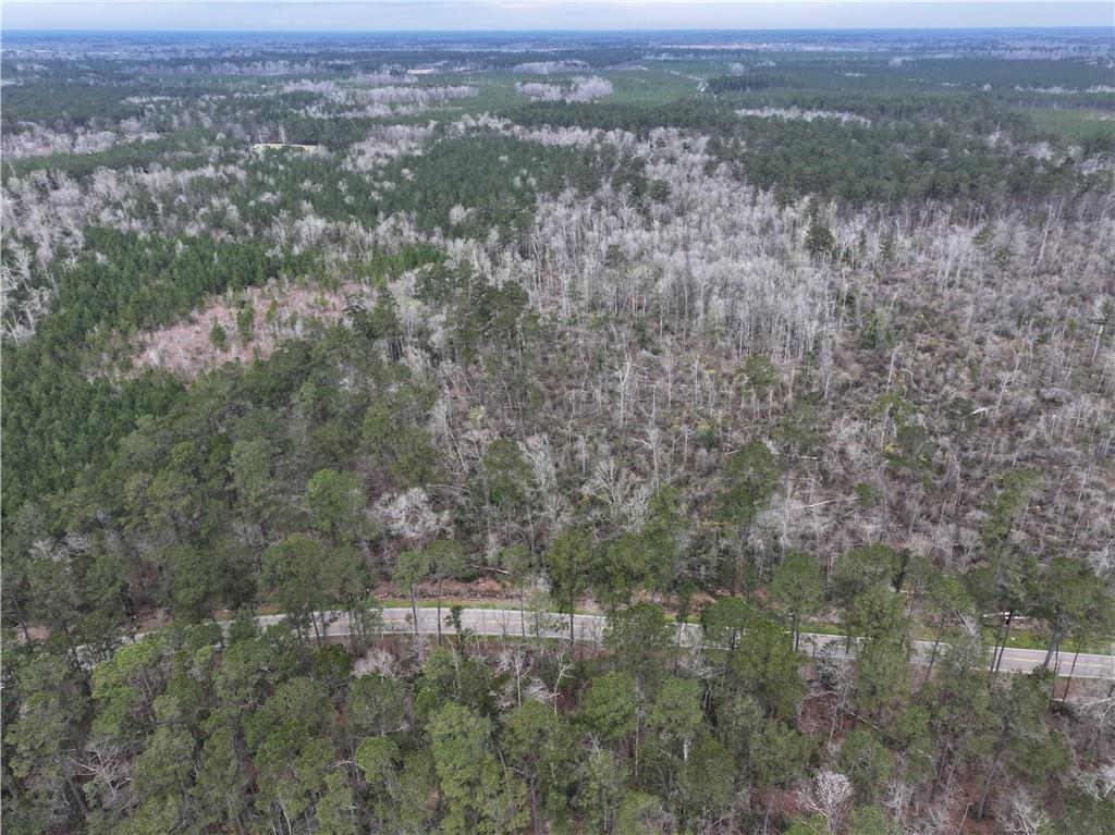 Horseshoe North And Hwy 40 Road, Independence, Louisiana image 28