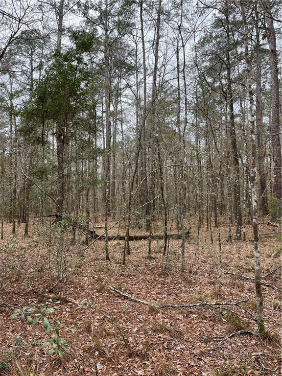 Horseshoe North And Hwy 40 Road, Independence, Louisiana image 38