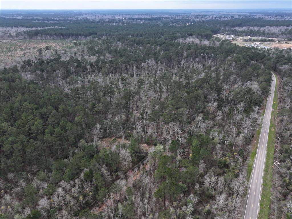 Horseshoe North And Hwy 40 Road, Independence, Louisiana image 7